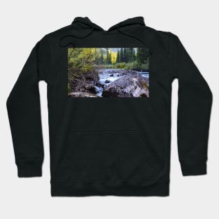 Above the Falls. Hoodie